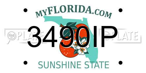 3490IP Florida License Plate