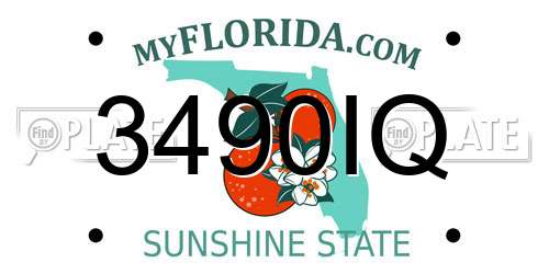 3490IQ Florida License Plate