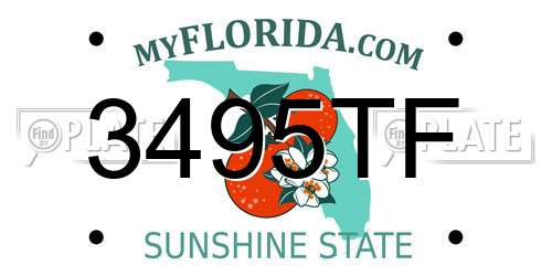 3495TF Florida License Plate