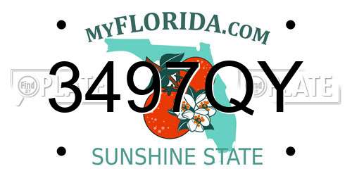 3497QY Florida License Plate