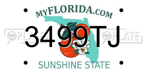 3499TJ Florida License Plate