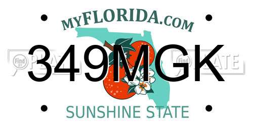 349MGK Florida License Plate