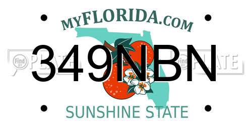 349NBN Florida License Plate