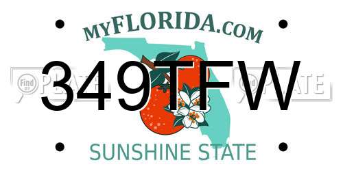 349TFW Florida License Plate