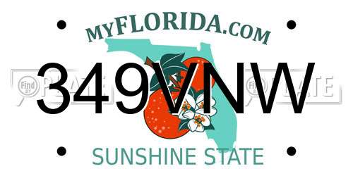 349VNW Florida License Plate