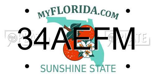34AEFM Florida License Plate
