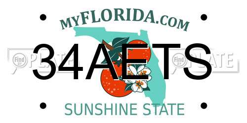 34AETS Florida License Plate