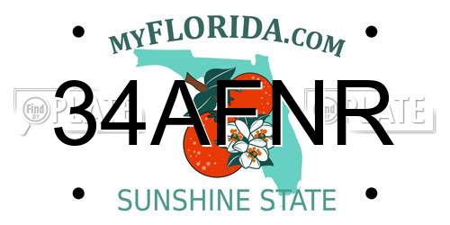 34AFNR Florida License Plate