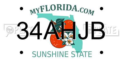34AHJB Florida License Plate