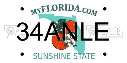 34ANLE Florida License Plate