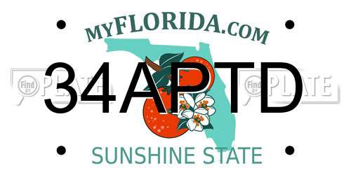 34APTD Florida License Plate