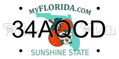 34AQCD Florida License Plate
