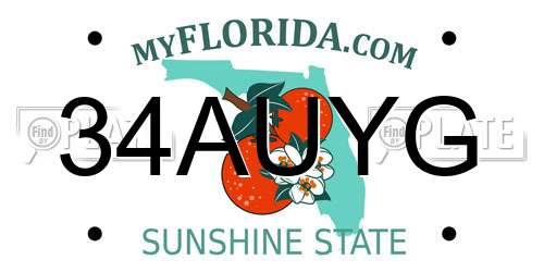 34AUYG Florida License Plate