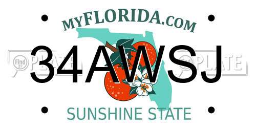 34AWSJ Florida License Plate