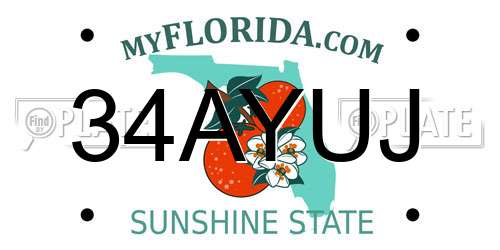 34AYUJ Florida License Plate