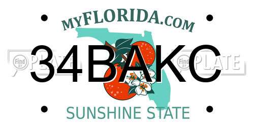 34BAKC Florida License Plate