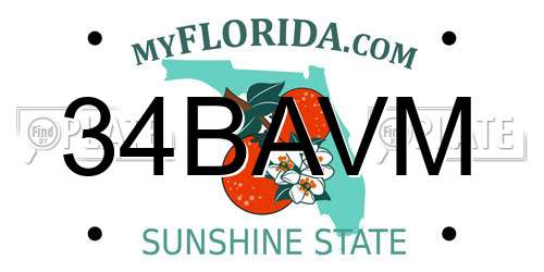 34BAVM Florida License Plate