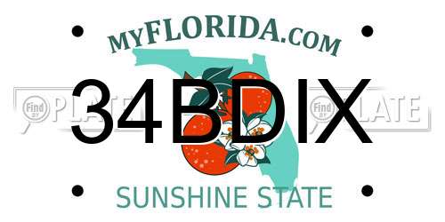 34BDIX Florida License Plate