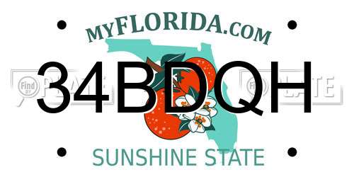 34BDQH Florida License Plate