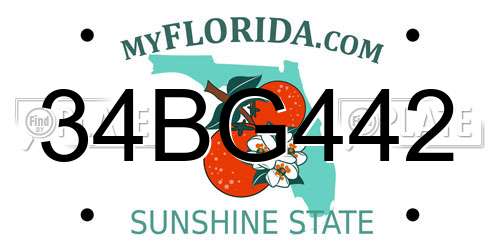 34BG442 Florida License Plate