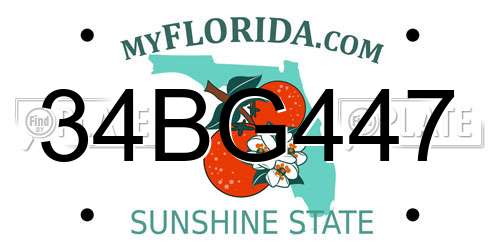 34BG447 Florida License Plate