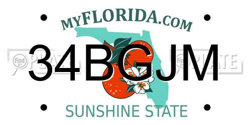 34BGJM Florida License Plate