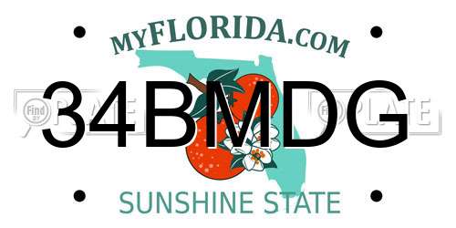 34BMDG Florida License Plate