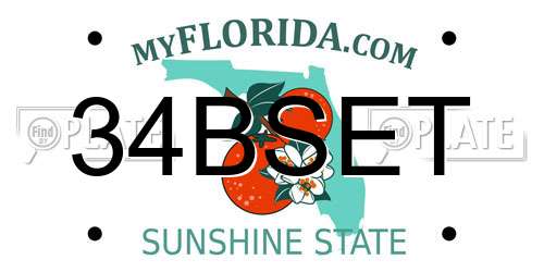 34BSET Florida License Plate