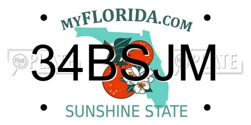 34BSJM Florida License Plate