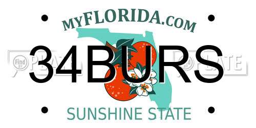 34BURS Florida License Plate