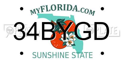 34BYGD Florida License Plate