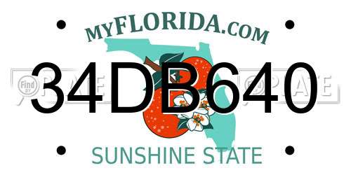 34DB640 Florida License Plate
