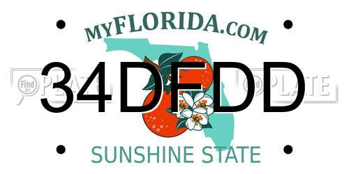 34DFDD Florida License Plate