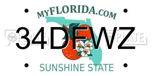 34DFWZ Florida License Plate