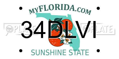 34DLVI Florida License Plate