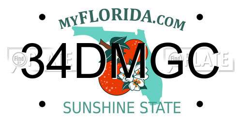 34DMGC Florida License Plate
