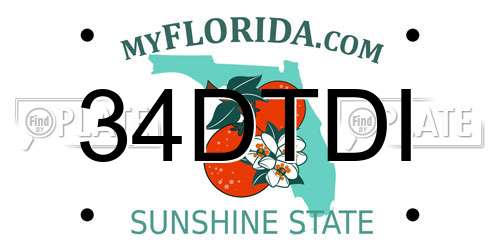 34DTDI Florida License Plate