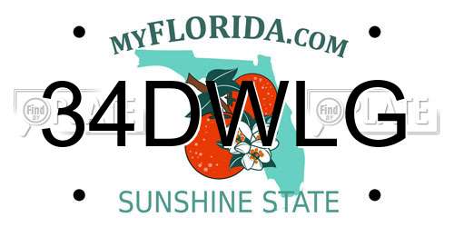 34DWLG Florida License Plate