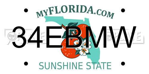 34EBMW Florida License Plate