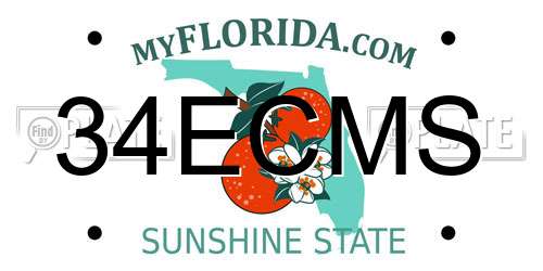 34ECMS Florida License Plate