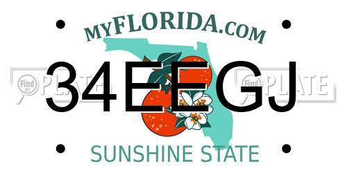 34EEGJ Florida License Plate
