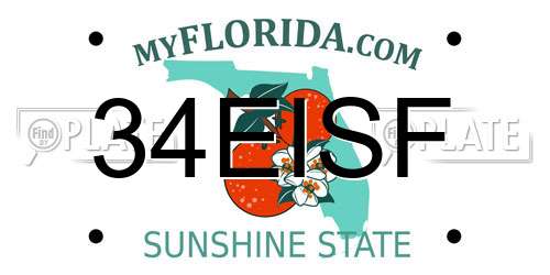 34EISF Florida License Plate
