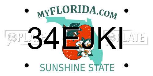 34EJKI Florida License Plate