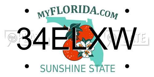 34ELXW Florida License Plate