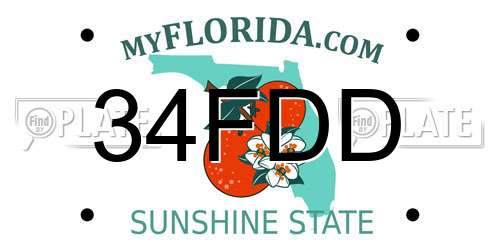 34FDD Florida License Plate