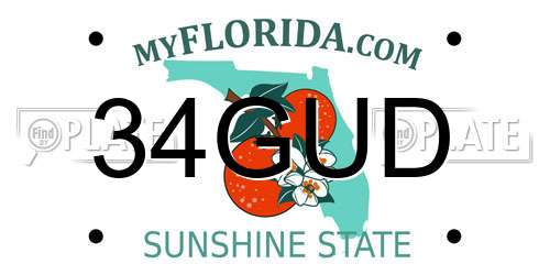 34GUD Florida License Plate