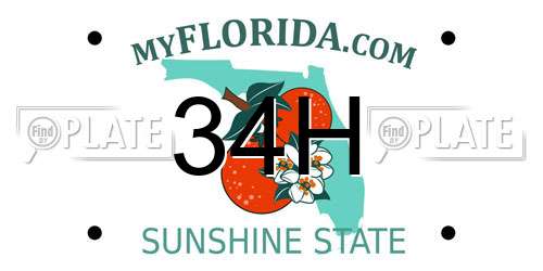 34H Florida License Plate