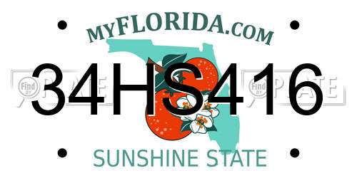 34HS416 Florida License Plate