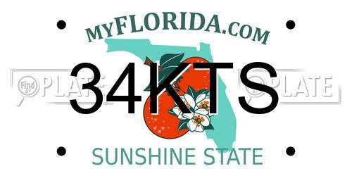 34KTS Florida License Plate