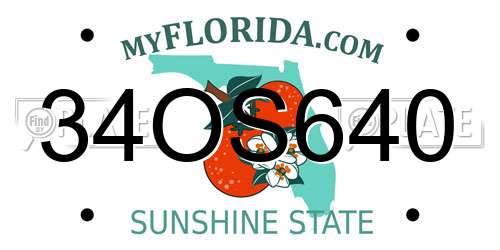 34OS640 Florida License Plate